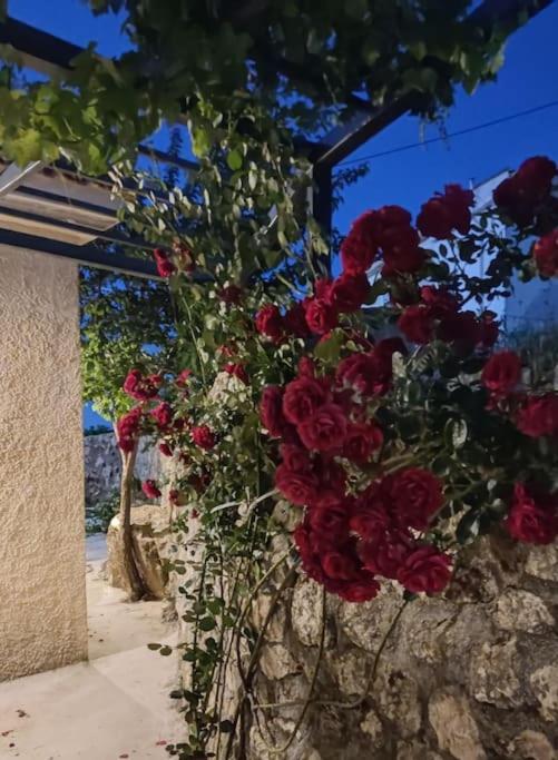 Villa Aiolia Kondoyenádha Dış mekan fotoğraf
